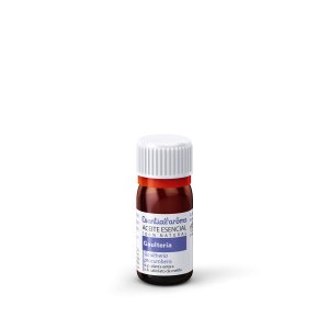 Aceite Esencial de Gaulteria (Wintergreen) 10 ml Esential’Aroms