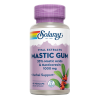 Mastic Gum 45 cápsulas Solaray
