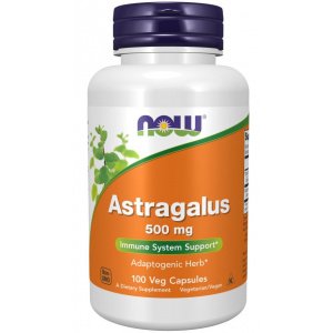 Astragalus 500 mg 100 Cápsulas NOW