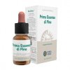 Prima Essenza di Pino Complex 10 ml Forza Vitale