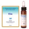 FM Elm (Olmo) 10 ml Forza Vitale