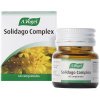 Solidago Complex 60 comprimidos A.Vogel