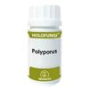 Holofungi Polyporus 180Cap. - EQUISALUD