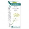 Bio Essential Oils Hinojo Aceite Esencial 10Ml. - EQUISALUD