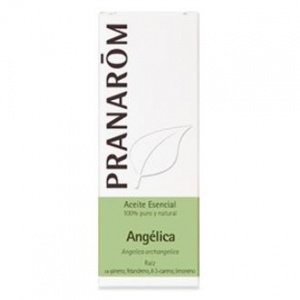 Angelica Aceite Esencial 5Ml. – PRANAROM