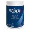 Etixx Recovery Bcaa Powder Naranja/Mango 300Gr.