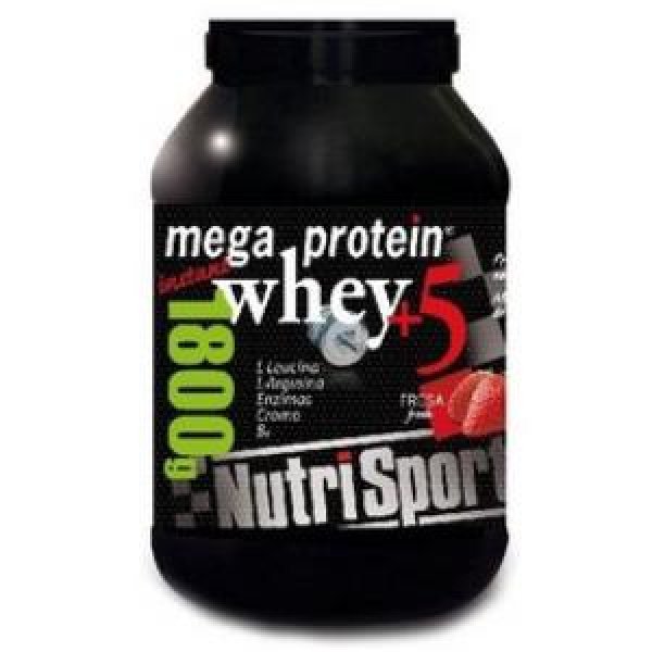 Mega Protein 5 Whey Fresa 1