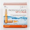 Proteoglicanos Vit C Plus 24Amp.