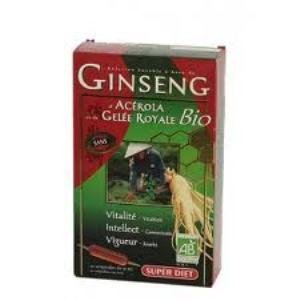 Ginseng+Jalea Real Bio 20Amp. – Superdiet