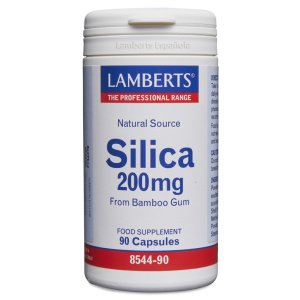 Silicio 200 mg 90 comprimidos Lamberts