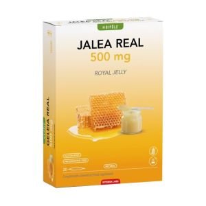 Bipole Jalea Real 500 mg 20 ampollas Intersa Labs